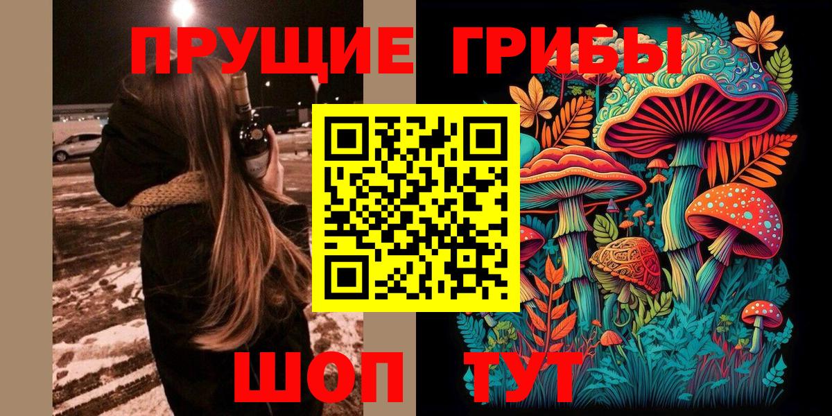 Псилоцибиновые грибы ЛСД Анжеро-Судженск