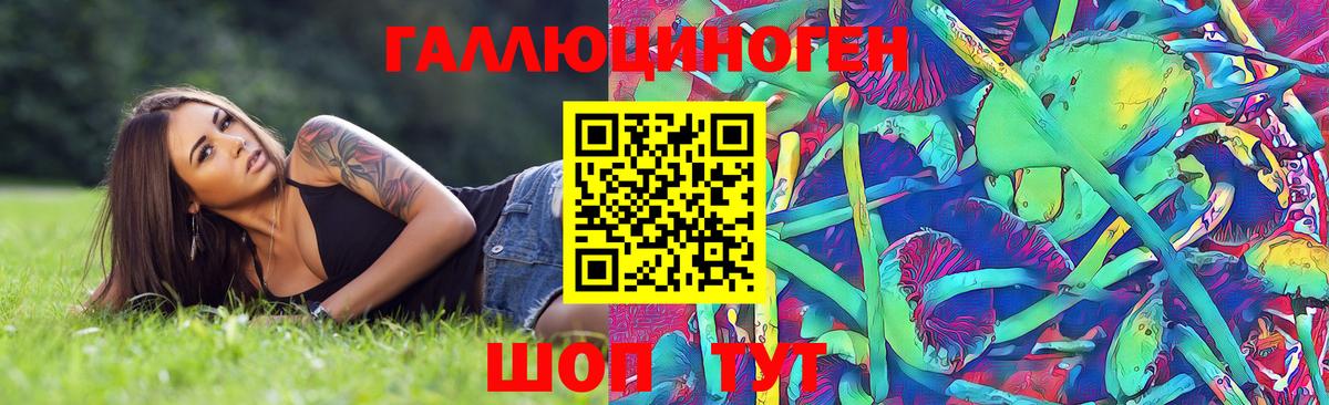 Псилоцибиновые грибы GOLDEN TEACHER  Вход с VPN  Анжеро-Судженск  Псилоцибиновые грибы Psilocybine cubensis 